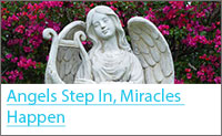 Donor Story - Angels Step In
