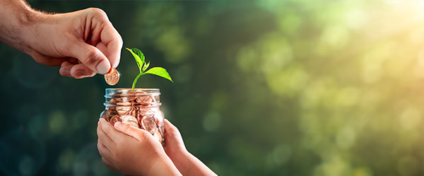 Penny Jar with a flower blooming 